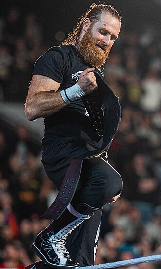 Sami Zayn